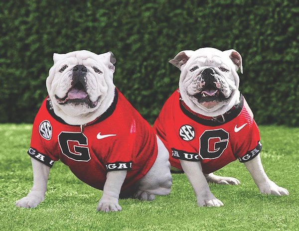 Boom takes over as Georgia's official mascot