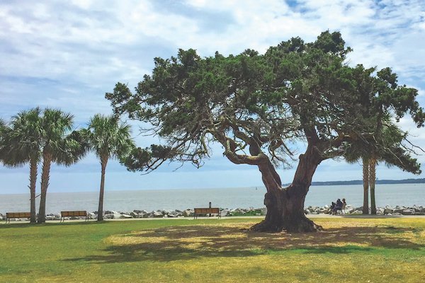 20 Fascinating Facts About St. Simons Island - elegantislandliving.net