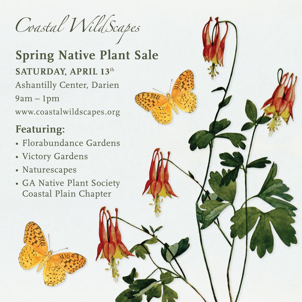 Coastal Wildscapes 2024 Spring Native Plant Sale