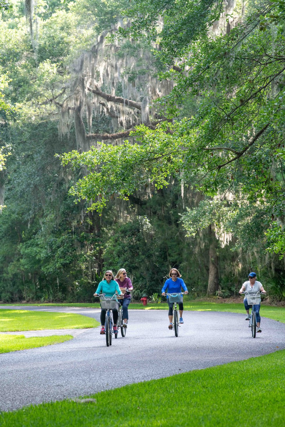 ladies on bikes V.jpg