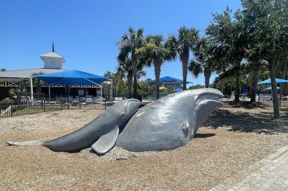 whale sculpture.jpeg