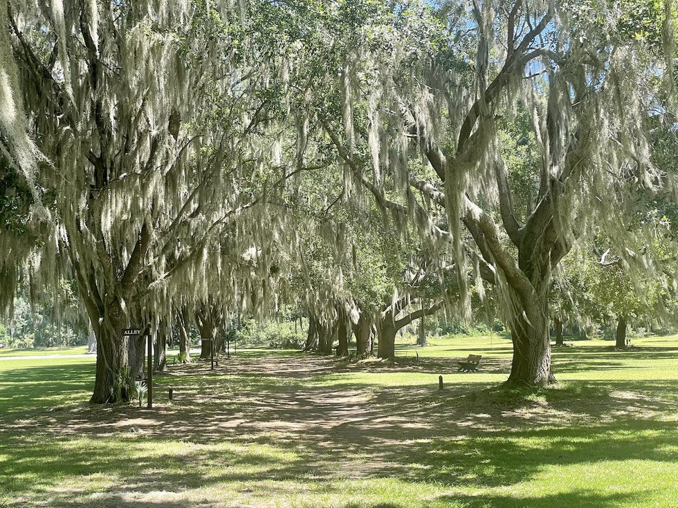 fort frederica alley.jpeg